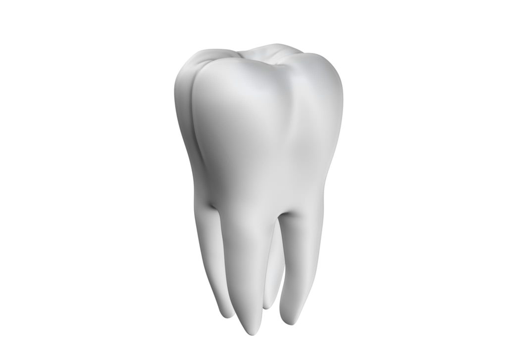 Illustration of a white tooth