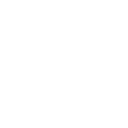 Dental Veneers